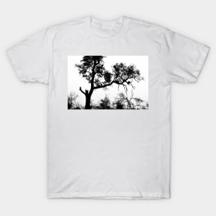 African White-backed Vultures in Silhouette T-Shirt